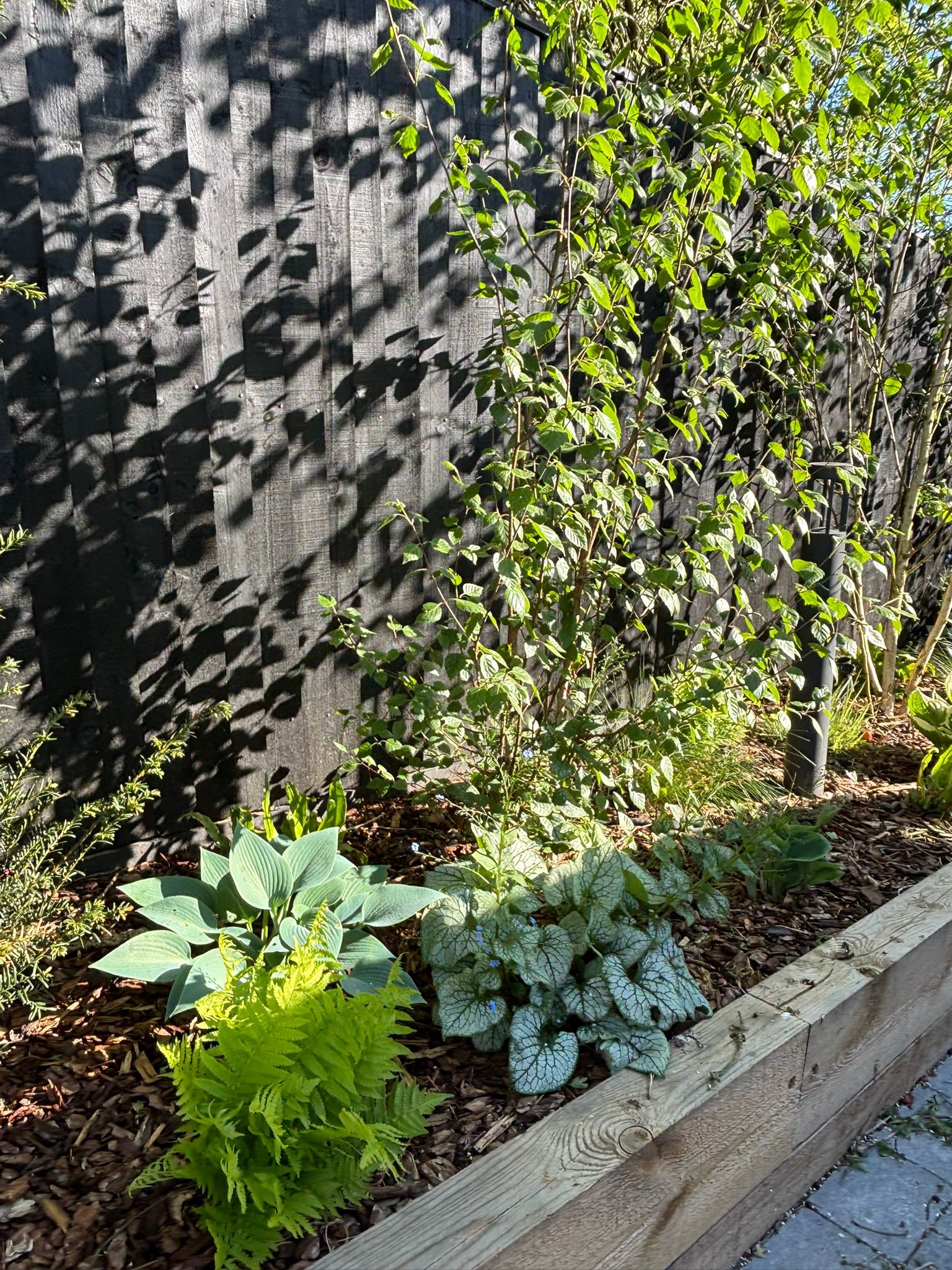 Plant Supply and Sourcing